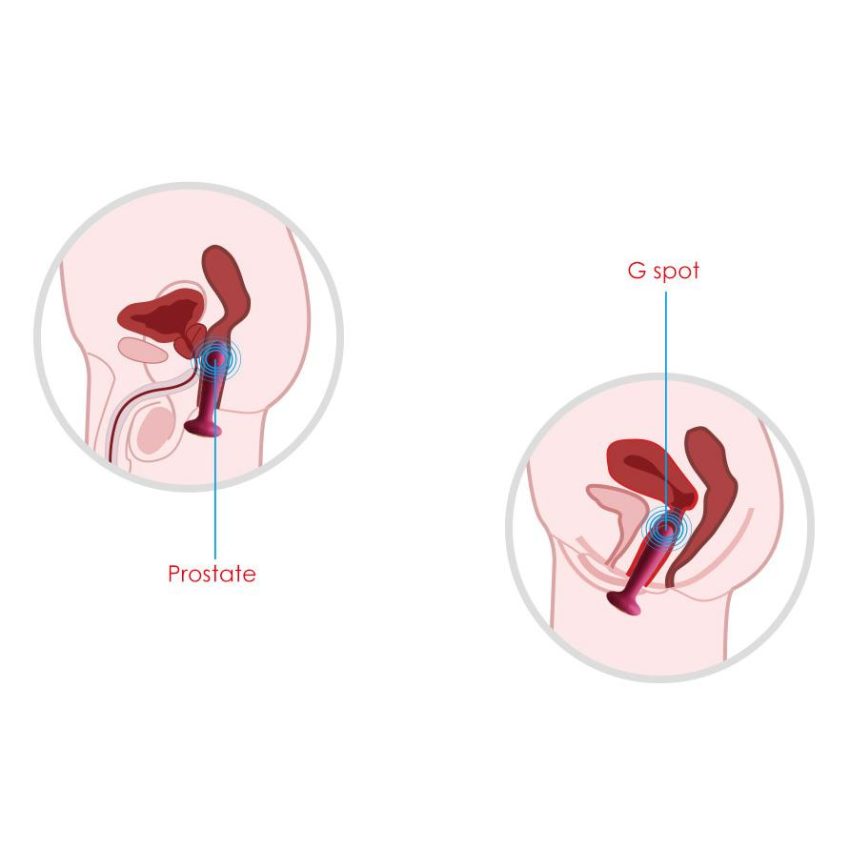 Plug Anal Vibrador Térmico Primo Svakom